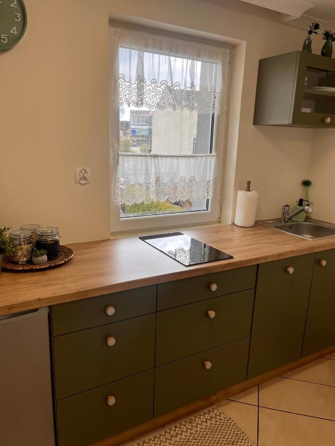 Apartament Na Starowce Boho Pszczyna Extérieur photo